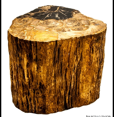 PW-109_Tree Trunk side Table